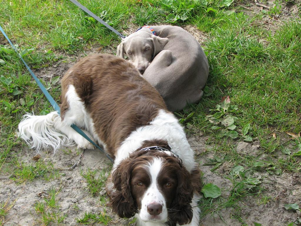 IMG_5972 (Large).jpg